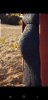 Screenshot_20191104-075223_Gallery.jpg