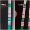 1572948435285.jpg