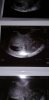 IMG-20191112-WA0024.jpeg