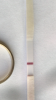 98067572-35D0-417A-B957-27C146B8AA56.png