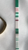 8950787C-5EF5-4B87-9A5F-D011200DA061.png