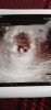 IMG-20191118-WA0002.jpeg