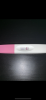 658886B5-B772-448E-A87A-B75EA13C53D4.png