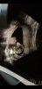 Screenshot_20191120-231539_Gallery.jpg