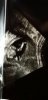 Screenshot_20191121-104822_Gallery.jpg
