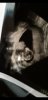 Screenshot_20191121-104813_Gallery.jpg