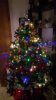 IMG-20191125-WA0000.jpg