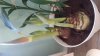 IMG-20191125-WA0035.jpeg
