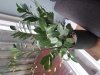 20191127_090835.jpg
