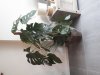 20191127_090854.jpg