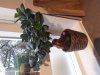 20191127_090955.jpg