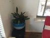 9B46E120-ED04-4590-B136-014EAB0EFF65.jpeg