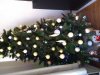 IMG_20191202_104502970.jpg