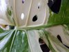 20191011_102838.jpg
