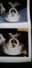 IMG-20191202-WA0009.jpeg