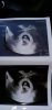 IMG-20191202-WA0006.jpeg