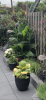 B824CDCD-BA91-4F65-BFEB-649692CAEFDC.png