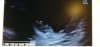 IMG-20191206-WA0029.jpeg