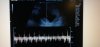 IMG-20191206-WA0031.jpeg