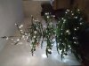 IMG_20191207_163310.jpg