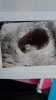 IMG-20191210-WA0000.jpeg