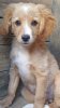 Screenshot_20191206-205127_WhatsApp.jpg