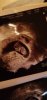 IMG-20191211-WA0001.jpeg