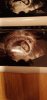 IMG-20191211-WA0000.jpeg