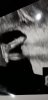 Screenshot_20191212-211903_Gallery.jpg