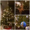PicsArt_12-12-10.05.35.jpg