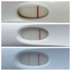 1F854265-C8FC-46BB-AFCA-BC9A5AE09A12.png