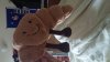IMG-20191207-WA0005.jpeg