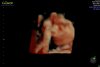 download (6).jpeg