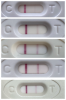 88991C11-3A2E-4ECC-94ED-45DA2FE9C37A.png