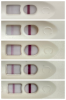 87D9EC4D-13C9-4DC0-84DC-742DA93F1013.png
