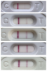 76E04DF1-2BDB-4E1A-B0E5-FB0D2571199B.png