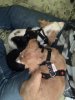 IMG-20191222-WA0045.jpg