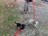 IMG-20191222-WA0031.jpg