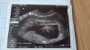 IMG-20191231-WA0003.jpeg