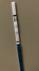 19E966C2-32EE-46EA-86DE-72130C027FFA.png