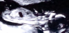 Schermafbeelding 2020-01-06 om 10.11.02.png