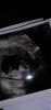 IMG-20191230-WA0081.jpeg
