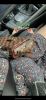 7D1AE9FC-EF9E-4537-A32A-DDDBE3E991C3.png