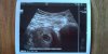 IMG-20191203-WA0008.jpeg