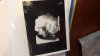 IMG-20190523-WA0004.jpeg