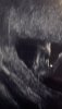7A7568DB-F722-4206-803A-7608055DB510.jpeg
