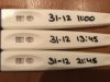 FFE6281D-AA39-4F66-9875-65EC12B81980.jpeg