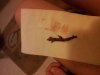 20130228_135331.jpg