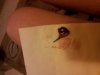 20130228_135246.jpg