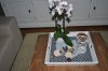 DSC_4297.jpg
